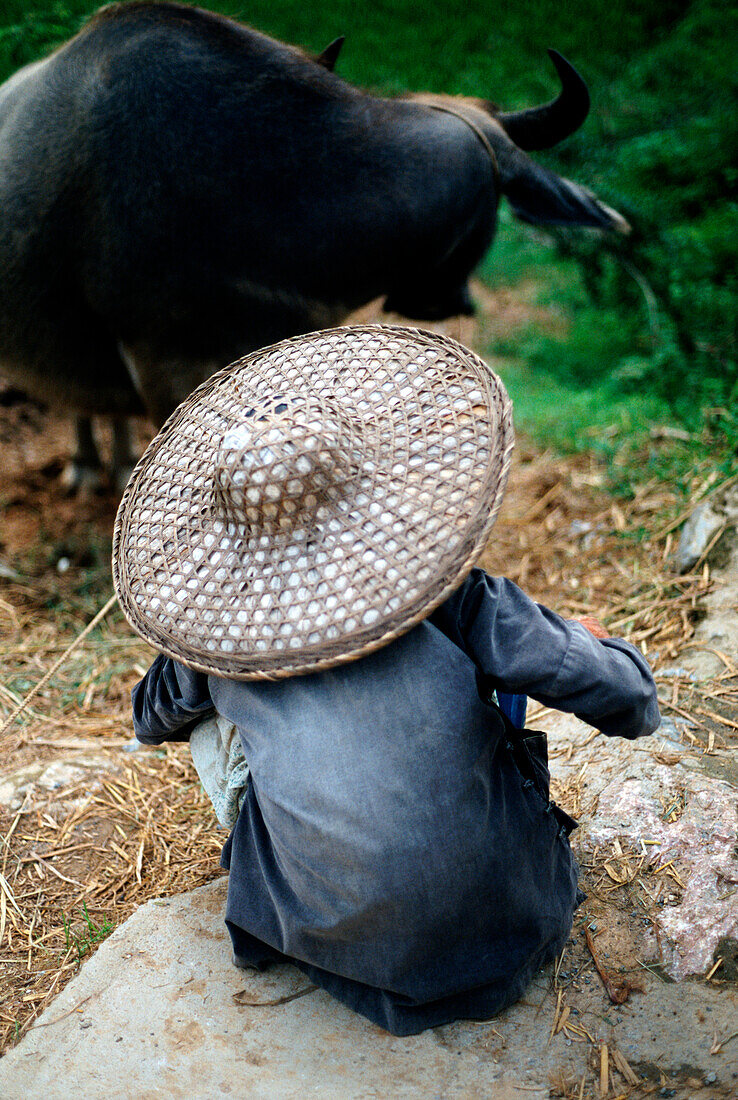 Woman and water buffalo, Yangshou, China