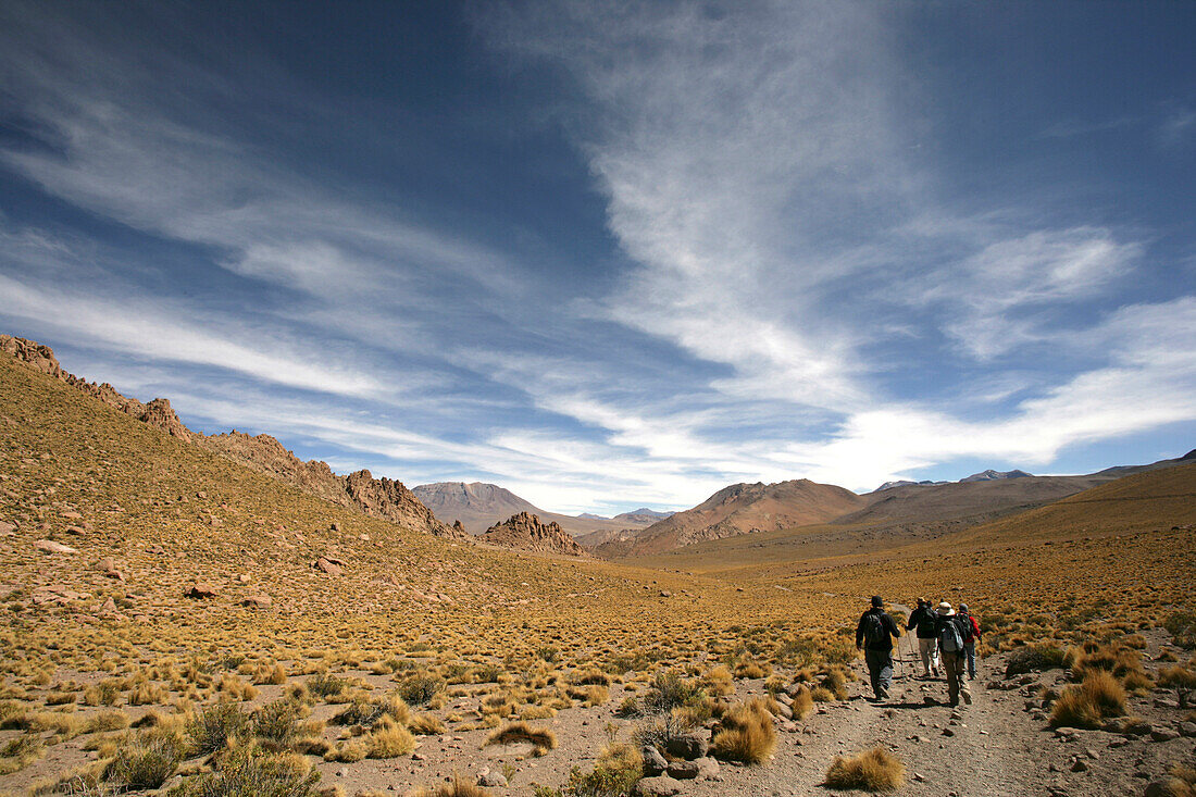 Four tourists walking in desert, Andes, Copa Coya, Chile