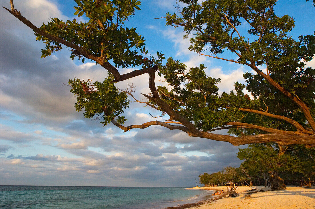 Guardalavaca beach, Holguin Province, … – License image – 70377155 ...