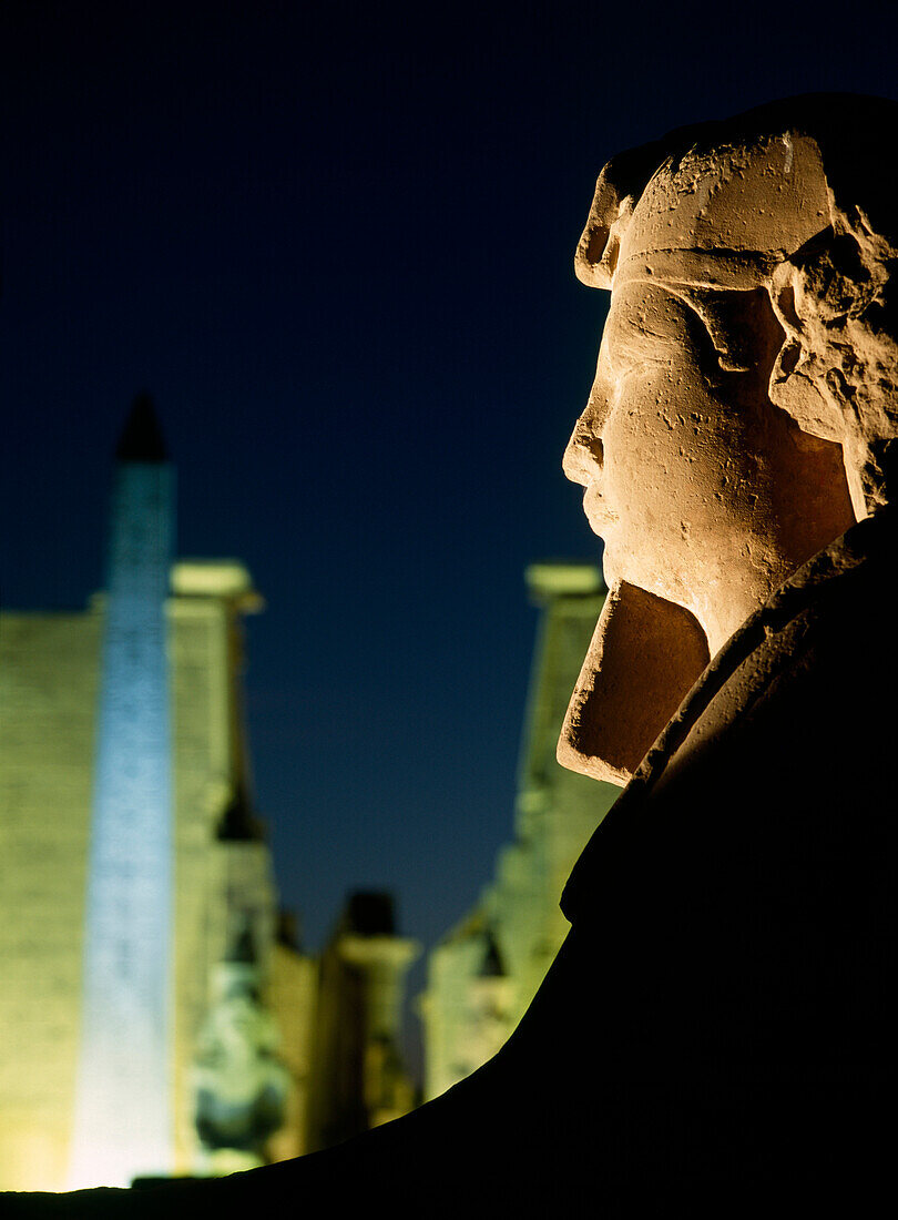 Sphinx, Luxor Temple, Luxor, Egypt