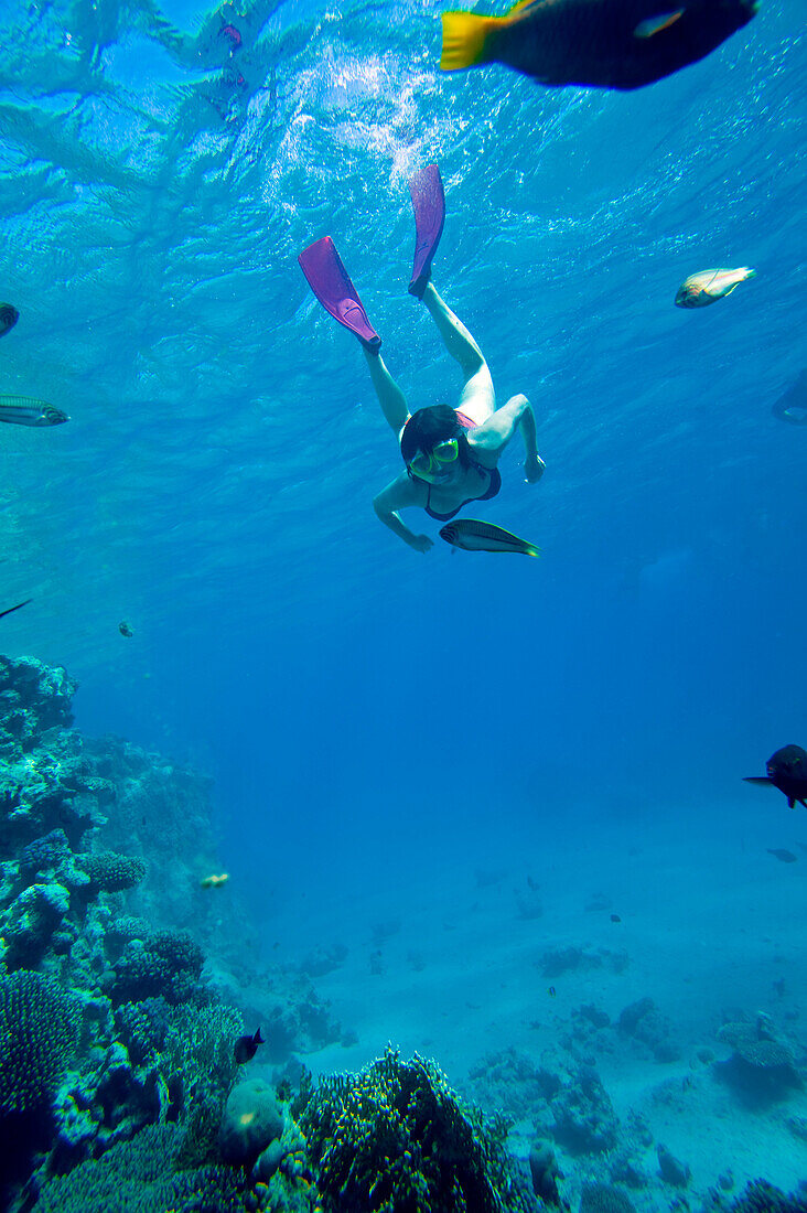 Woman snorkeling in Red Sea, Giftun Island, Hurghada, Egypt