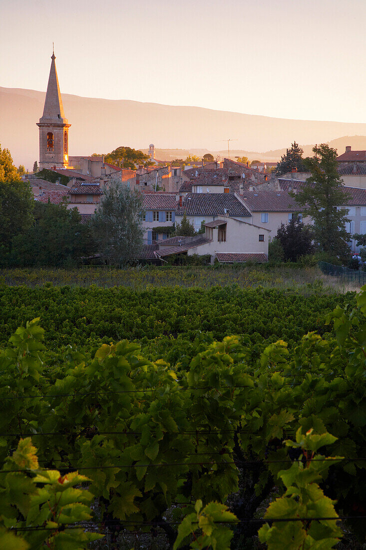 Village of Saint-Didier and vineyard, Provence, France