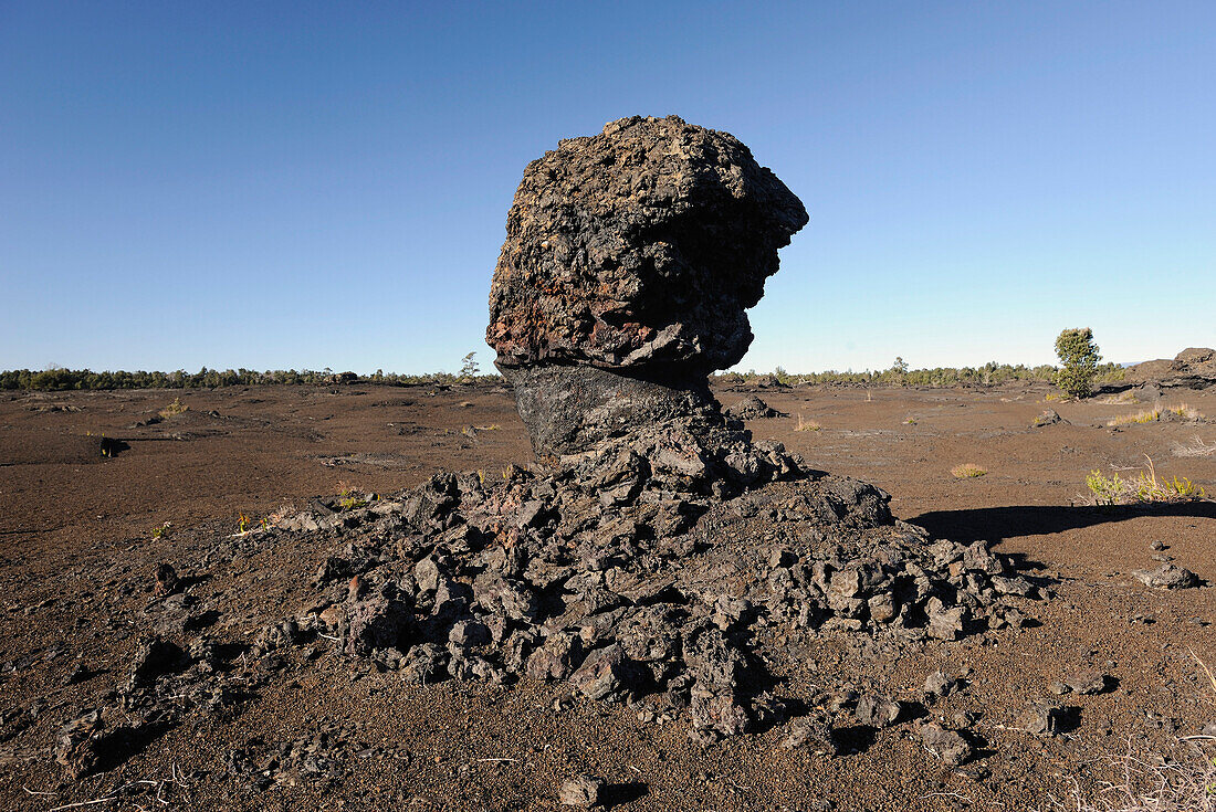 'USA, Hawaï, Volcanoes National Park, lava ''mushroom'''