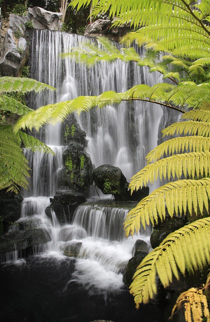 Taiwan, Taipei, Longshan Temple, garden, waterfall