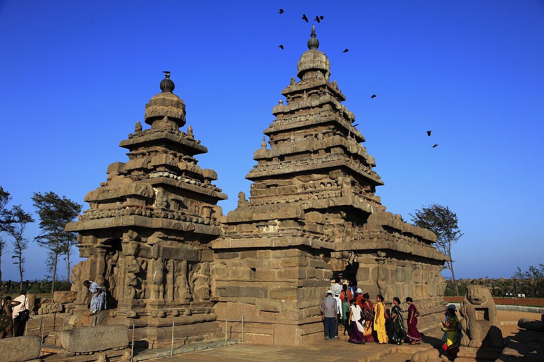 India, Tamil Nadu, Mamallapuram, Mahabalipuram, Shore Temple