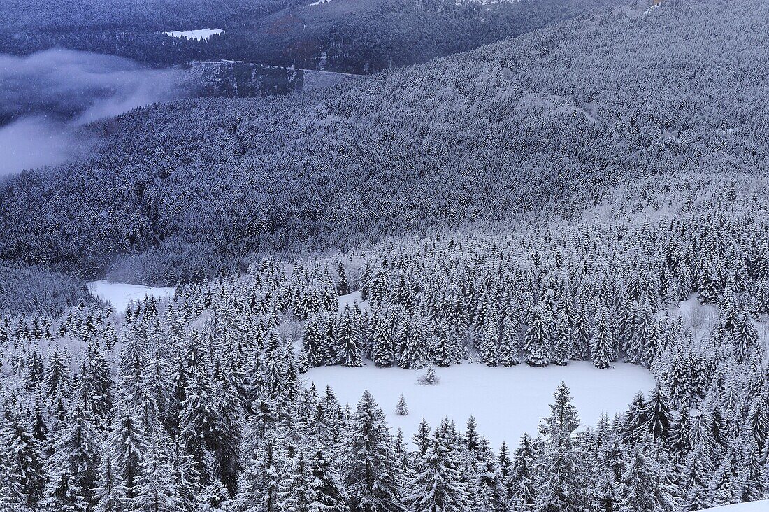 France, Lorraine, Vosges, Parc Naturel Régional des Ballons des Vosges in winter