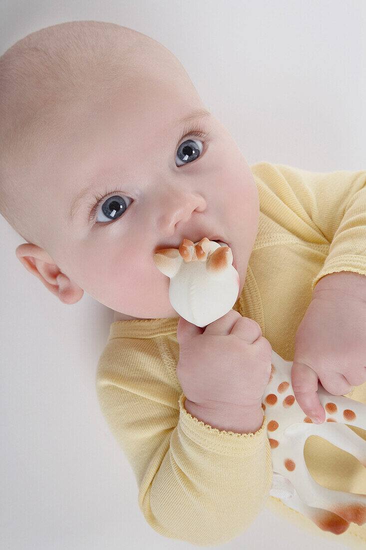 Baby holding toy