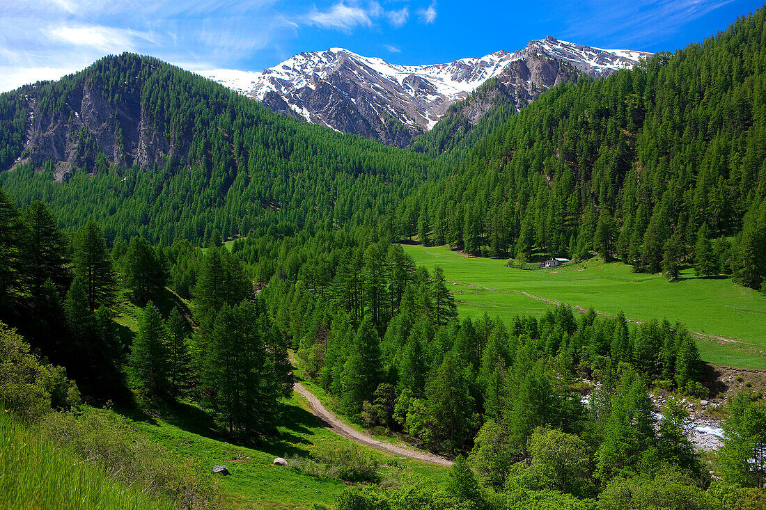 France, Alps, Queyras, region of St Véran
