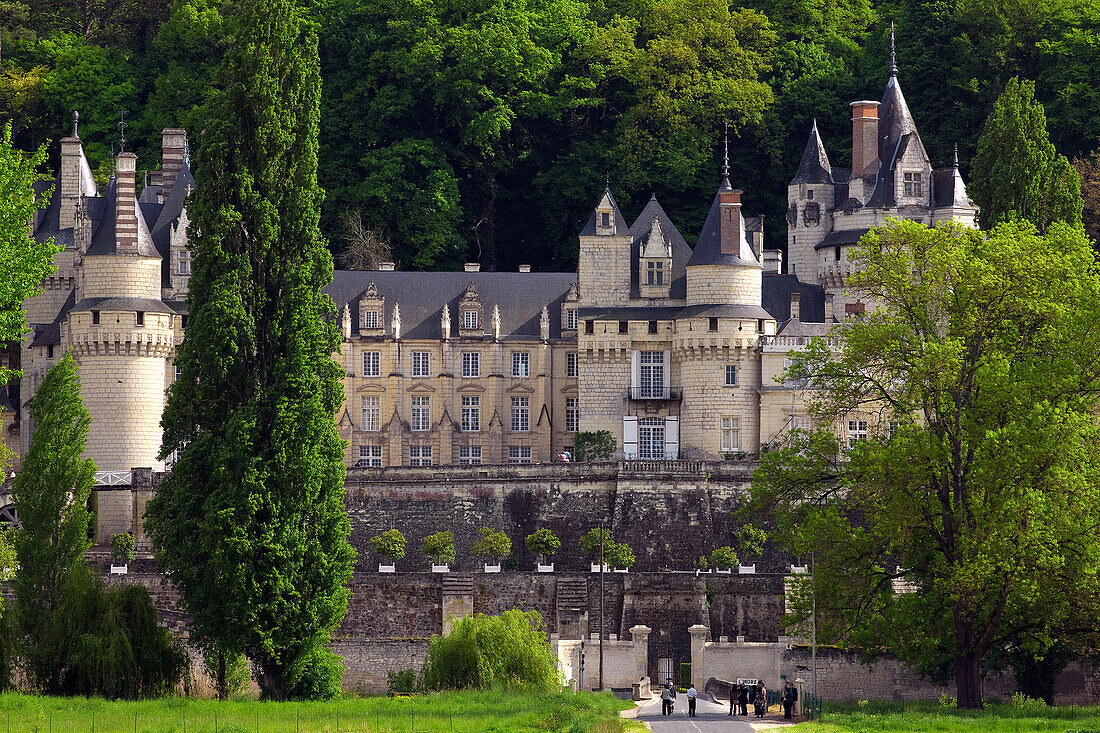 France, Centre, Indre et Loire, Ussé castle