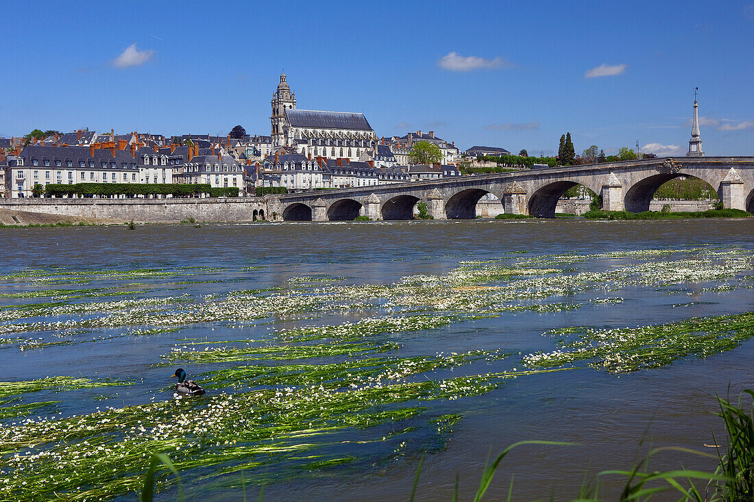 France, Centre, Loir et Cher, Blois, old town and river Loire