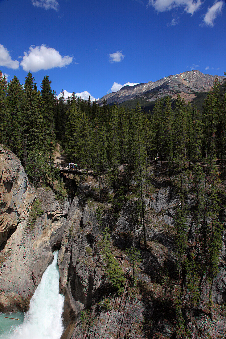 Canada, Alberta, Jasper National Park, Sunwapta River Falls