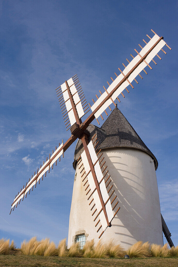 France, Pays de la Loire, Vendée, Jard sur Mer, windmill