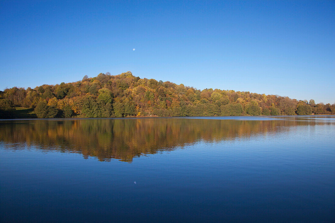 Weinfelder Maar / Totenmaar under blue sky, near Daun, Eifel, Rhineland-Palatinate, Germany, Europe