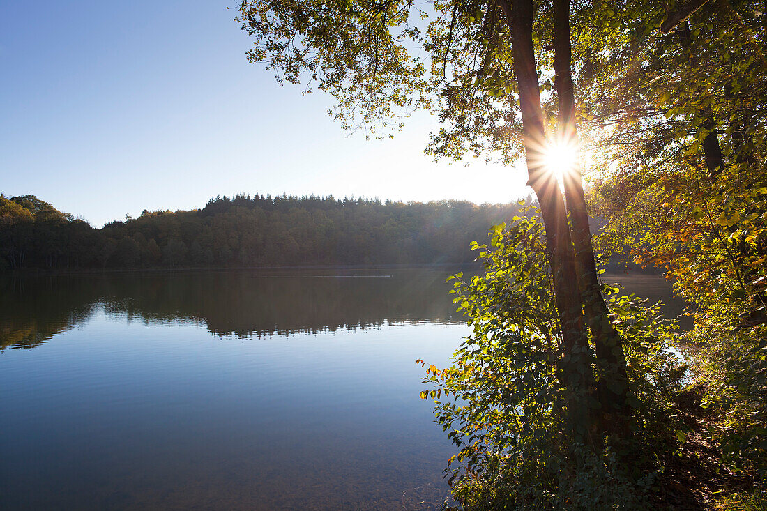 Holzmaar at Gillenfeld in the sunlight, near Daun, Eifel, Rhineland-Palatinate, Germany, Europe