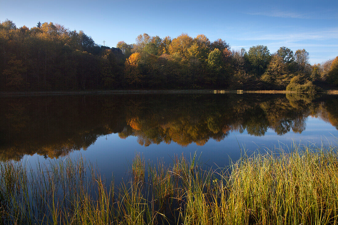 Reflection on Mosenmaar, crater lake on Mosenberg hill, at Bettenfeld, near Daun, Eifel, Rhineland-Palatinate, Germany, Europe