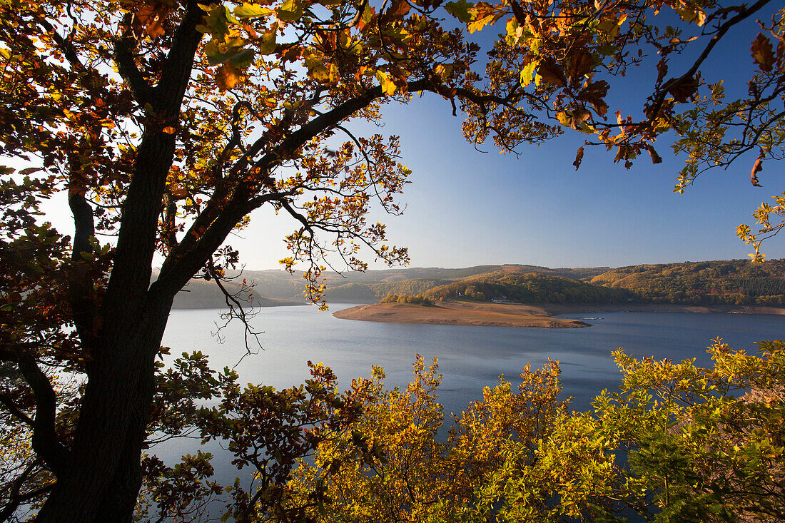 Blick über den Rurstausee im Herbst, Nationalpark Eifel, Nordrhein-Westfalen, Deutschland, Europa