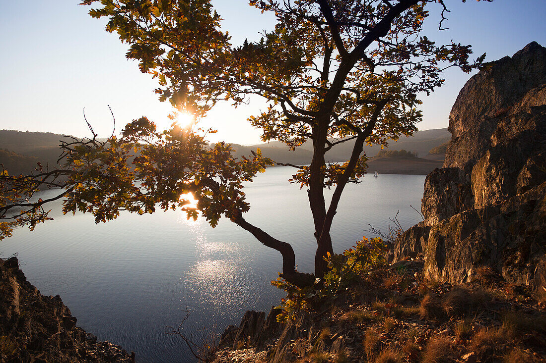 Blick über den Rurstausee im Abendlicht, Nationalpark Eifel, Nordrhein-Westfalen, Deutschland, Europa