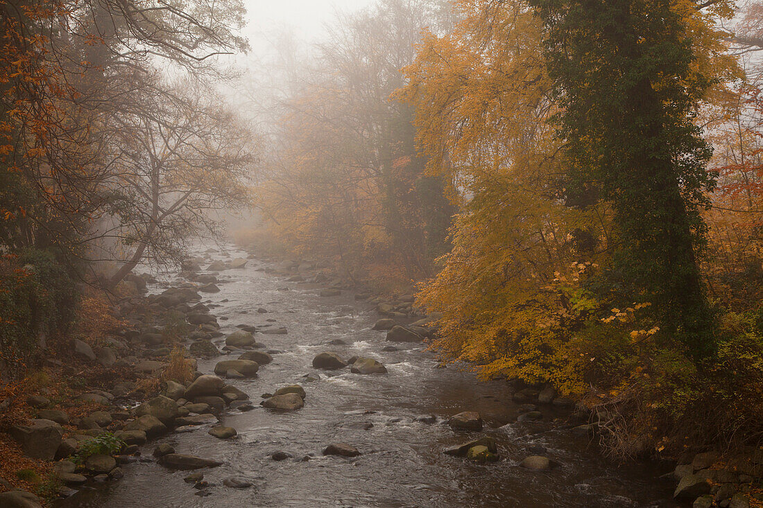 Mist over the river at Bode valley, near Thale, Harz mountains, Saxony-Anhalt, Germany, Europe