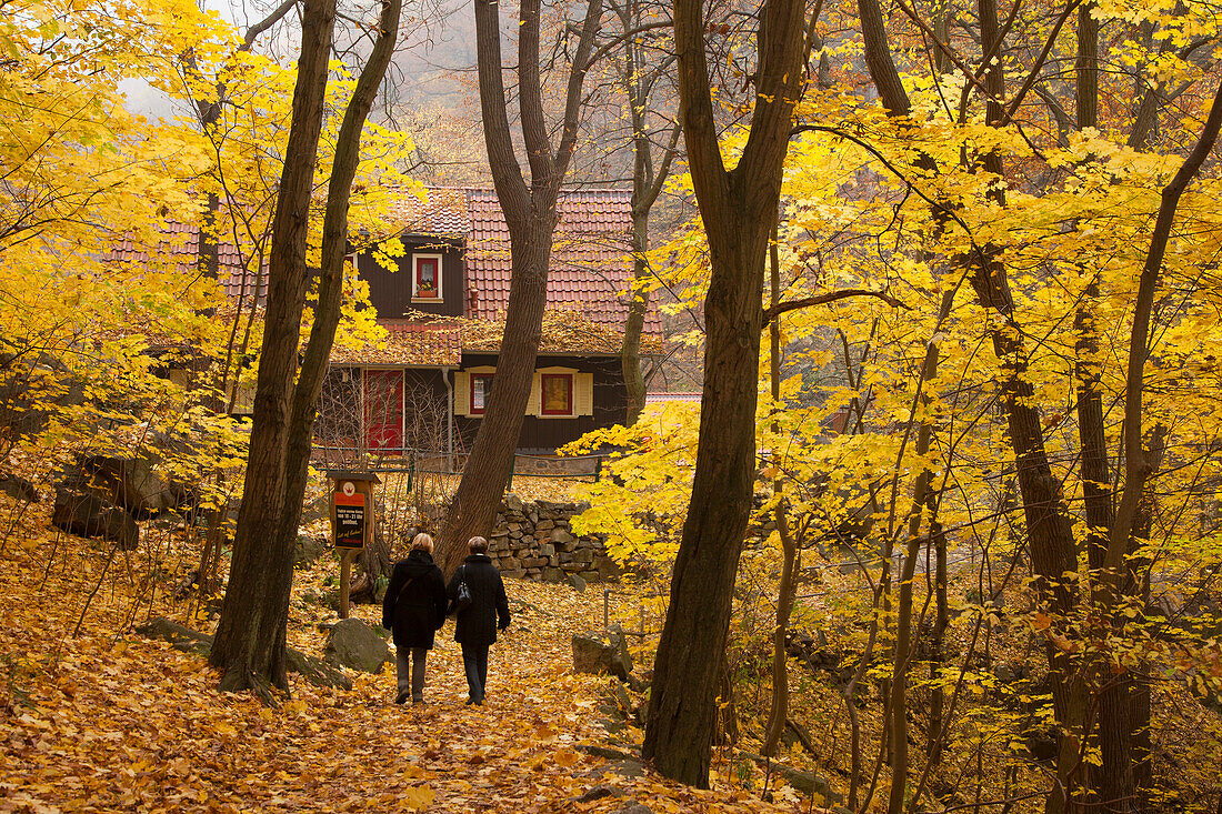 Koenigsruhe guesthouse at the hiking trail to the Bode valley, near Thale, Harz mountains, Saxony-Anhalt, Germany, Europe