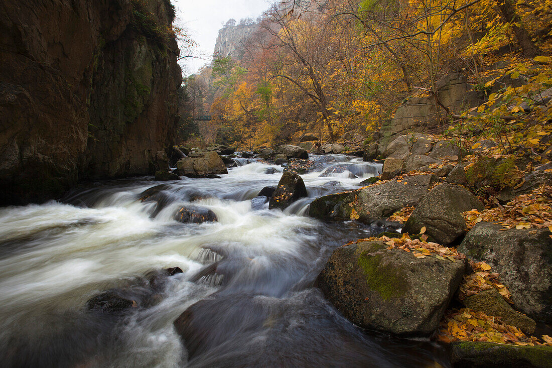 Blick auf Stromschnellen im Bodetal, bei Thale, Harz, Sachsen-Anhalt, Deutschland, Europa