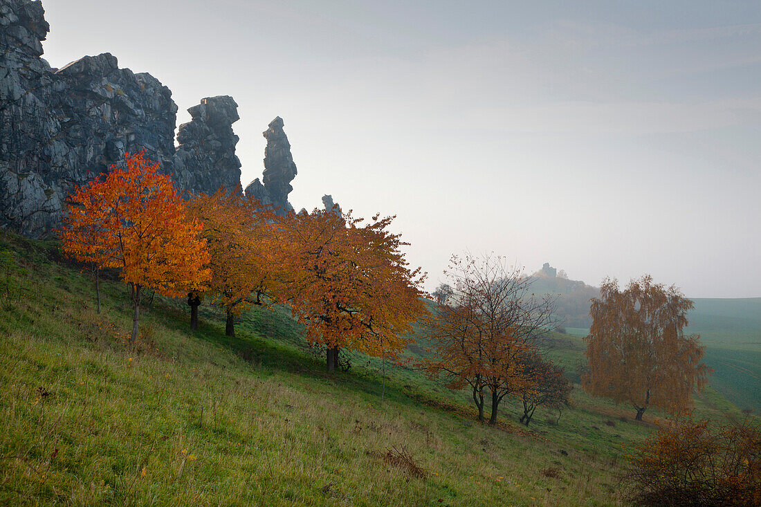 Herbstliche Bäume vor der Teufelsmauer, bei Thale, Harz, Sachsen-Anhalt, Deutschland, Europa