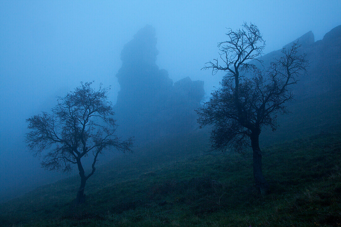 Mist at the rock formation Teufelsmauer, near Blankenburg, Harz mountains, Saxony-Anhalt, Germany, Europe