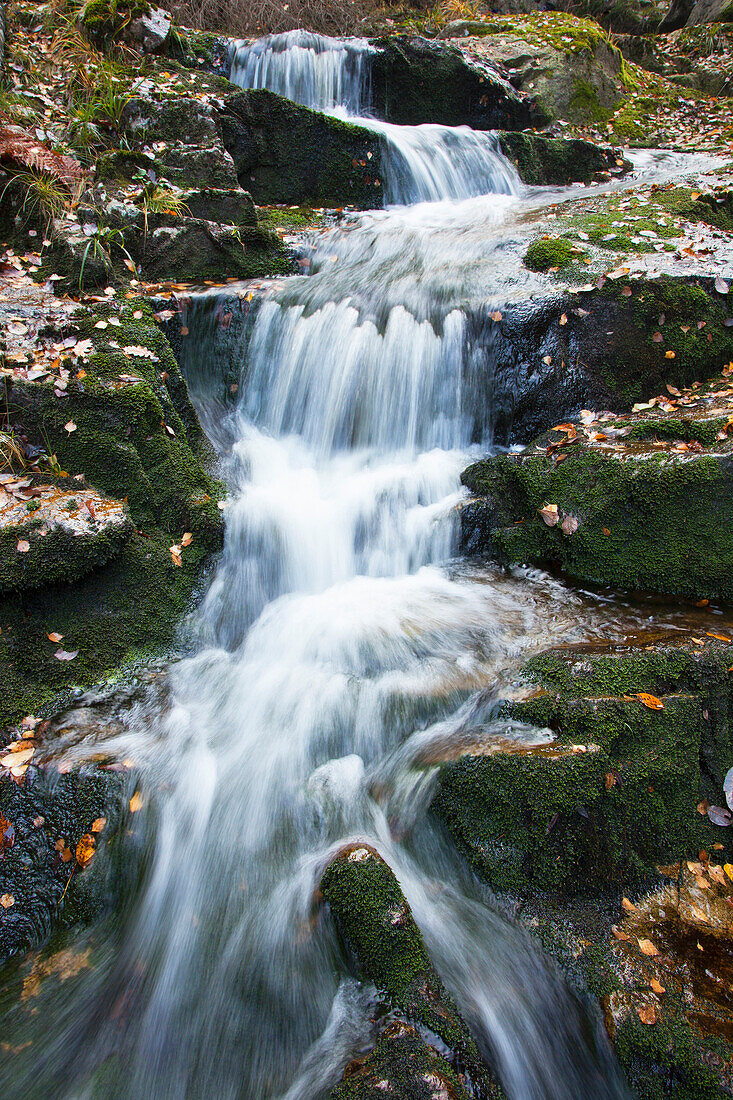 Steinerne Renne, Wasserfall im Tal der Holtemme, Harz, Sachsen-Anhalt, Deutschland, Europa