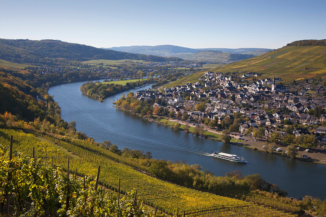 View from the vineyards to Kues, Bernkastel-Kues, Mosel river, Rhineland-Palatinate, Germany, Europe