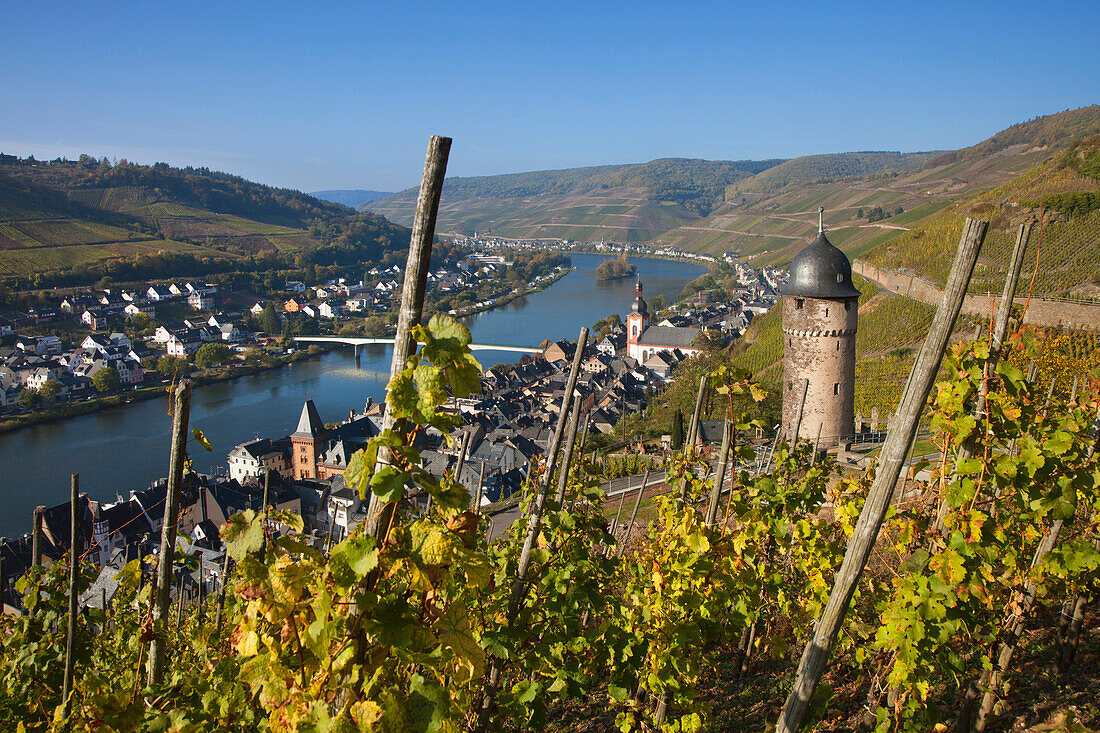 View from the vineyards onto the round tower above Zell, Moselle river, Rhineland-Palatinate, Germany, Europe