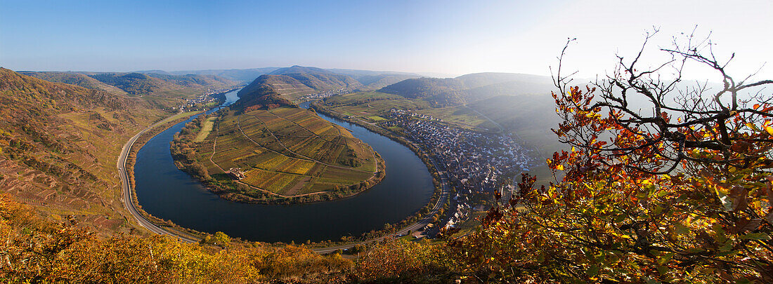 Panorama view from Bremmer Calmont vineyard onto the Moselle sinuosity at Bremm, Moselle river, Rhineland-Palatinate, Germany, Europe