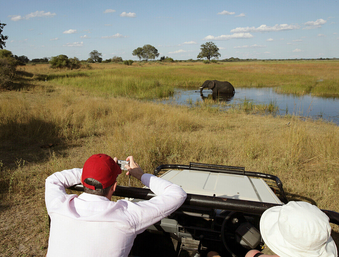 Two tourists on safari in a car looking at an elephant, Caprivi Strip, Namibia