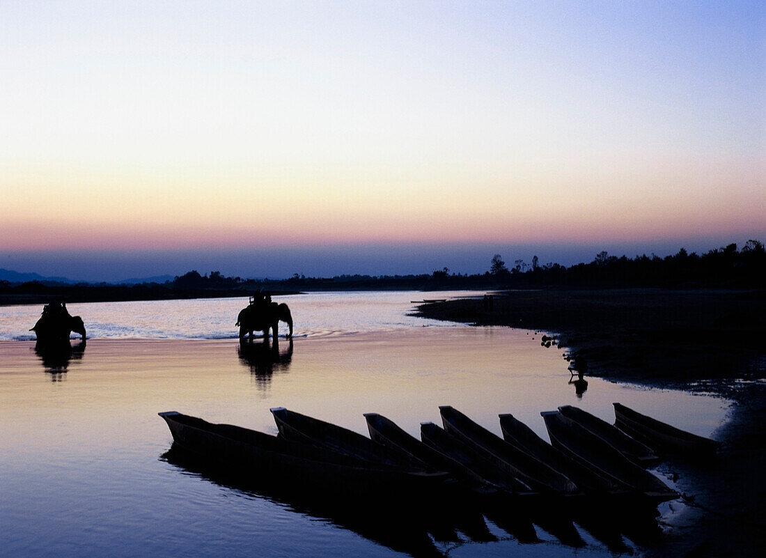 Boats and elephants on Ratpi River at sunset, Chitwan Park, Nepal