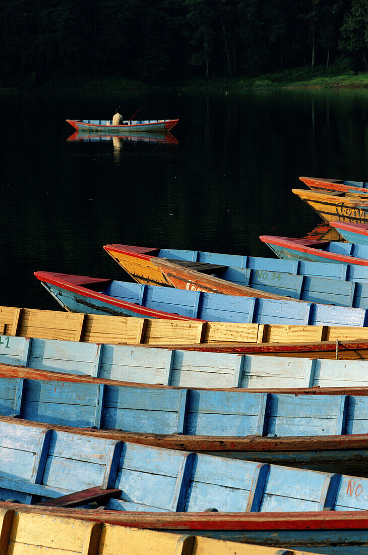 Phewa Lake Boats, Pokhara, Nepal