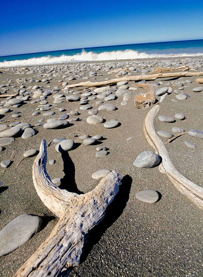 Drift wood and pebbles on beach, New Zealand