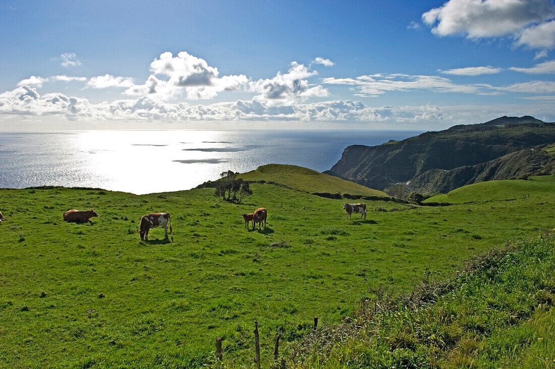 Pastoral landscape of Santa Maria Island, Archipelago of Azores, Portugal
