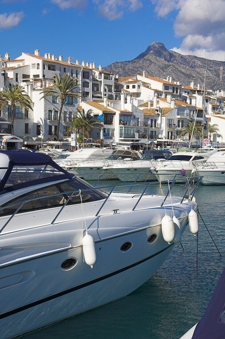 Yachts in harbor in Marbella, Puerto Banus, Costa del Sol, Andalucia, Spain