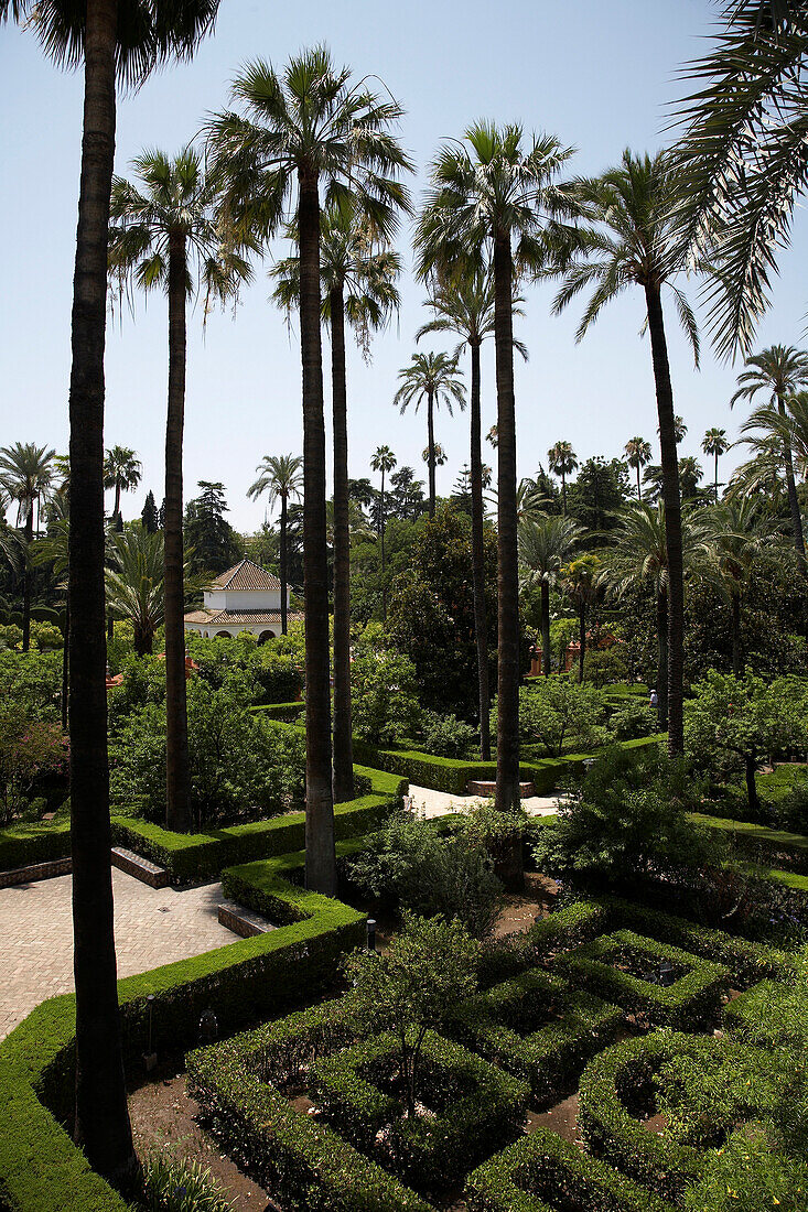 Gardens of Alcazar Palace, Seville, Spain