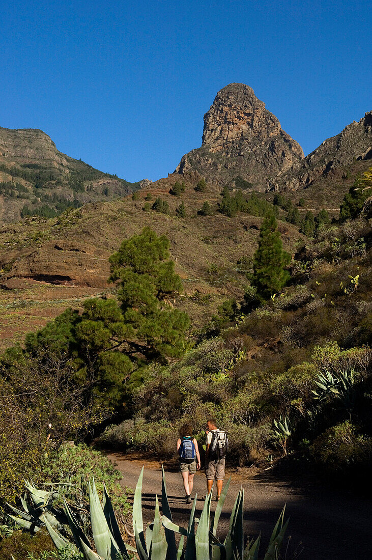 Hikers passing the Roque de Agando, Integral Nature Reserve, Island of La Gomera, Island of La Gomera. Canary Islands. Spain