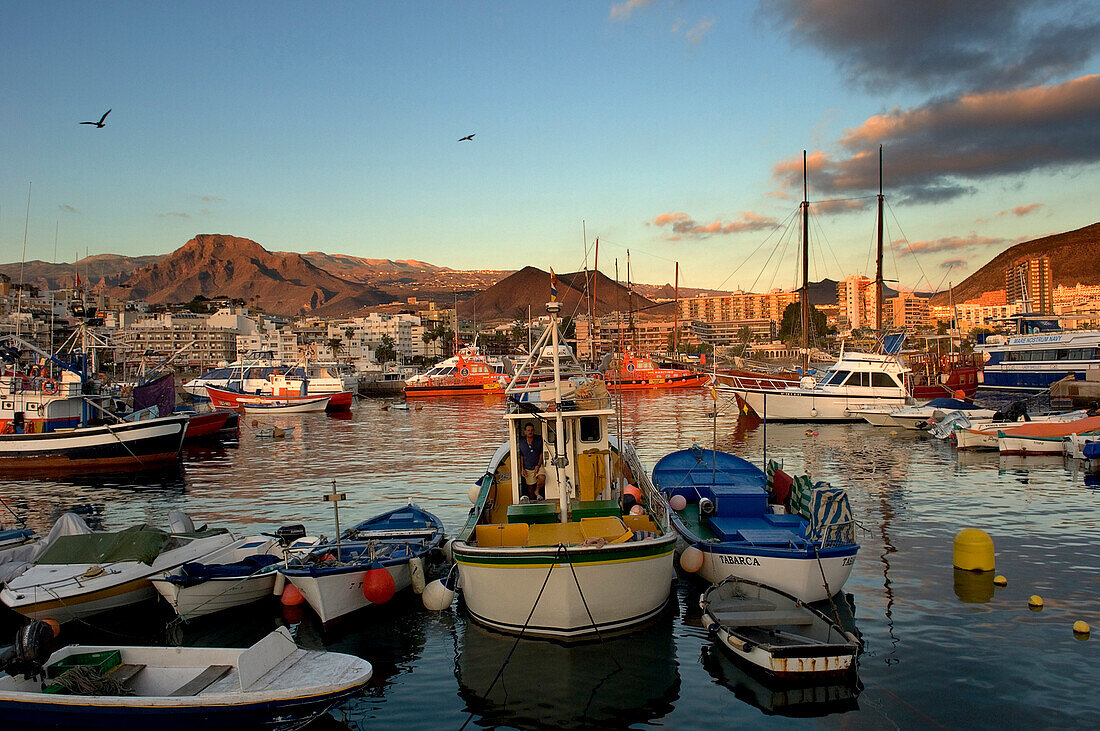 Los Cristianos Harbour, Los Cristianos habour. Los Cristianos. Tenerife. Canary Islands. Spain PHOTO©CHRIS PARKER/AXIOM
