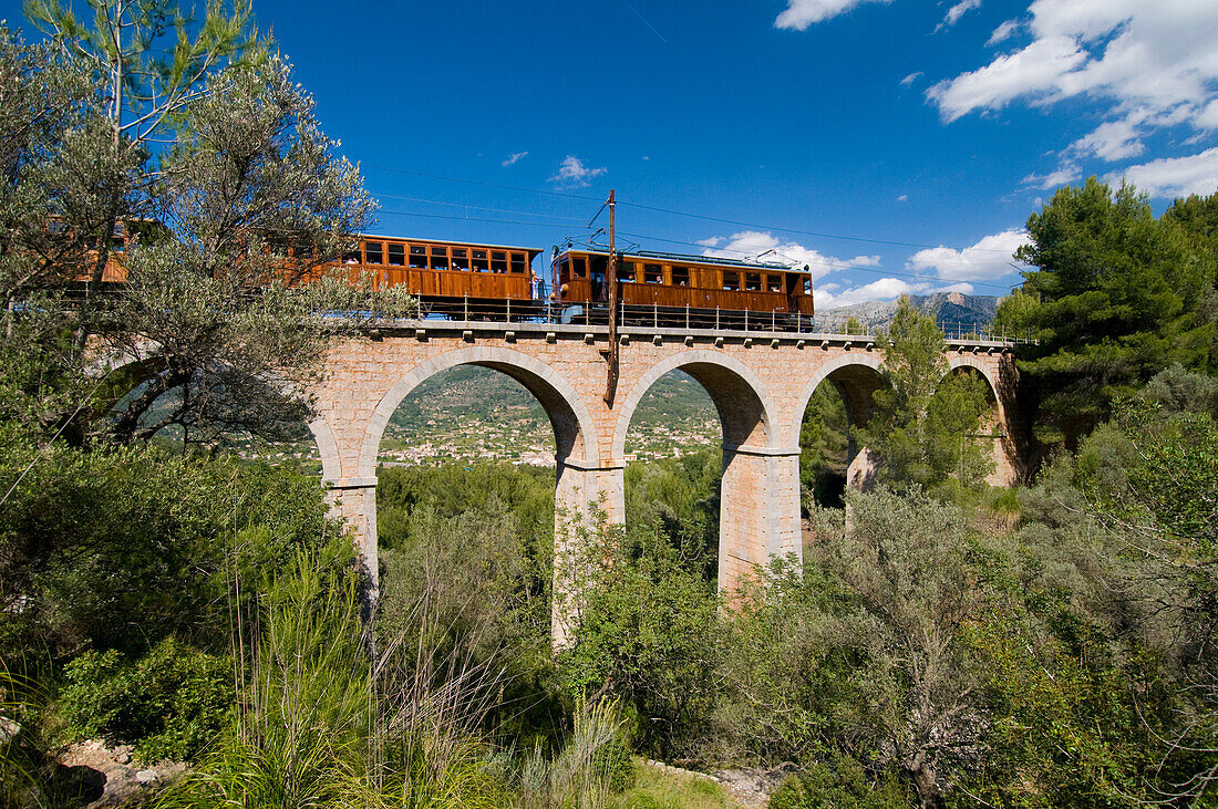 Train going over viaduct above olive grove, Majorca, Balearic Islands, Spain