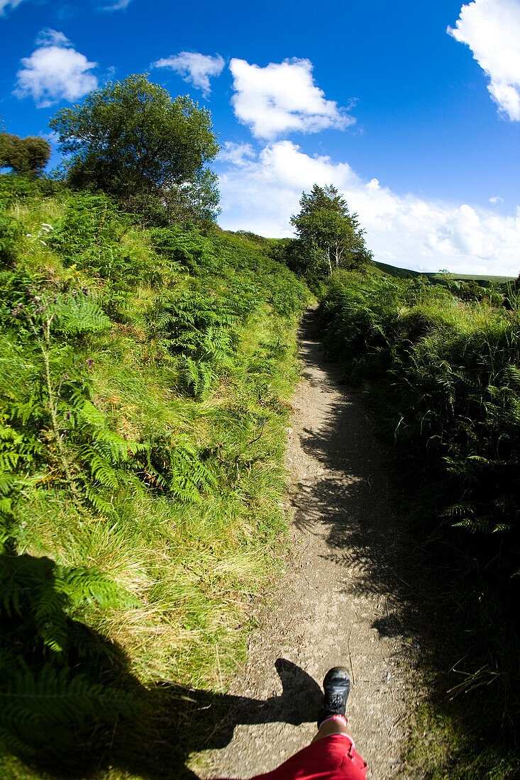 Leg of male walker walking along country footpath, North Devon, Exmoor, England