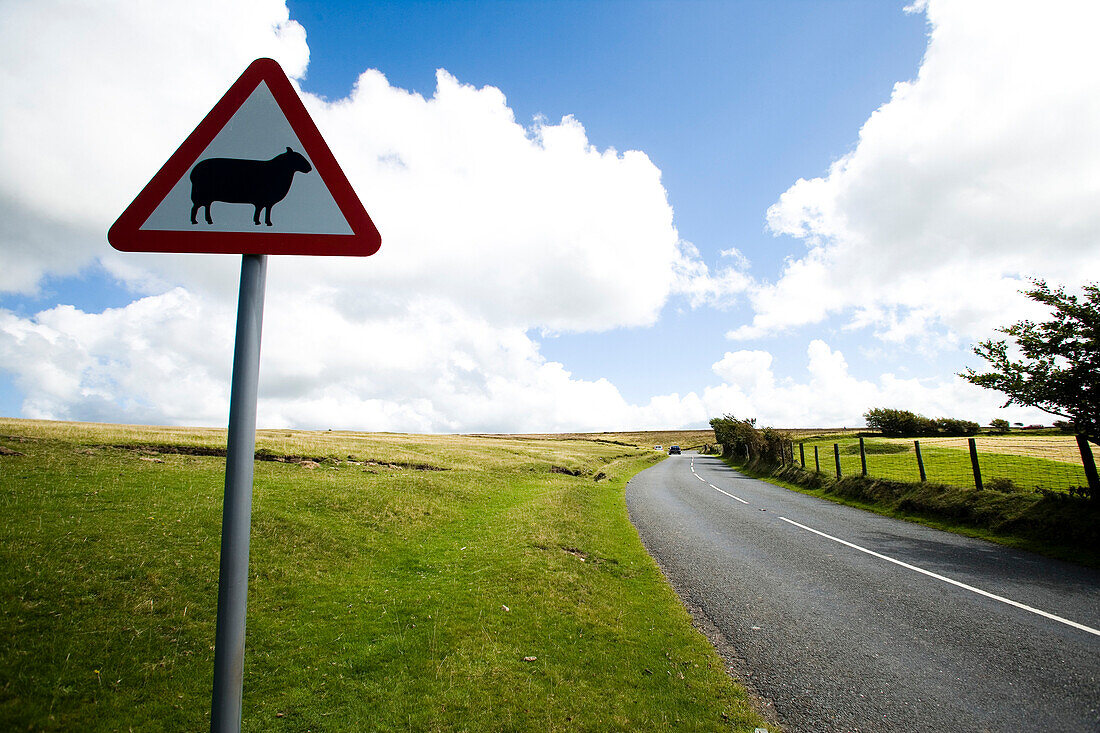 Sheep warning sign by sweeping bend on road side, North Devon, Exmoor, England