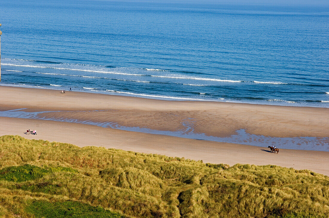 Distant view of people horseback riding on beach, Northumberland, England, UK