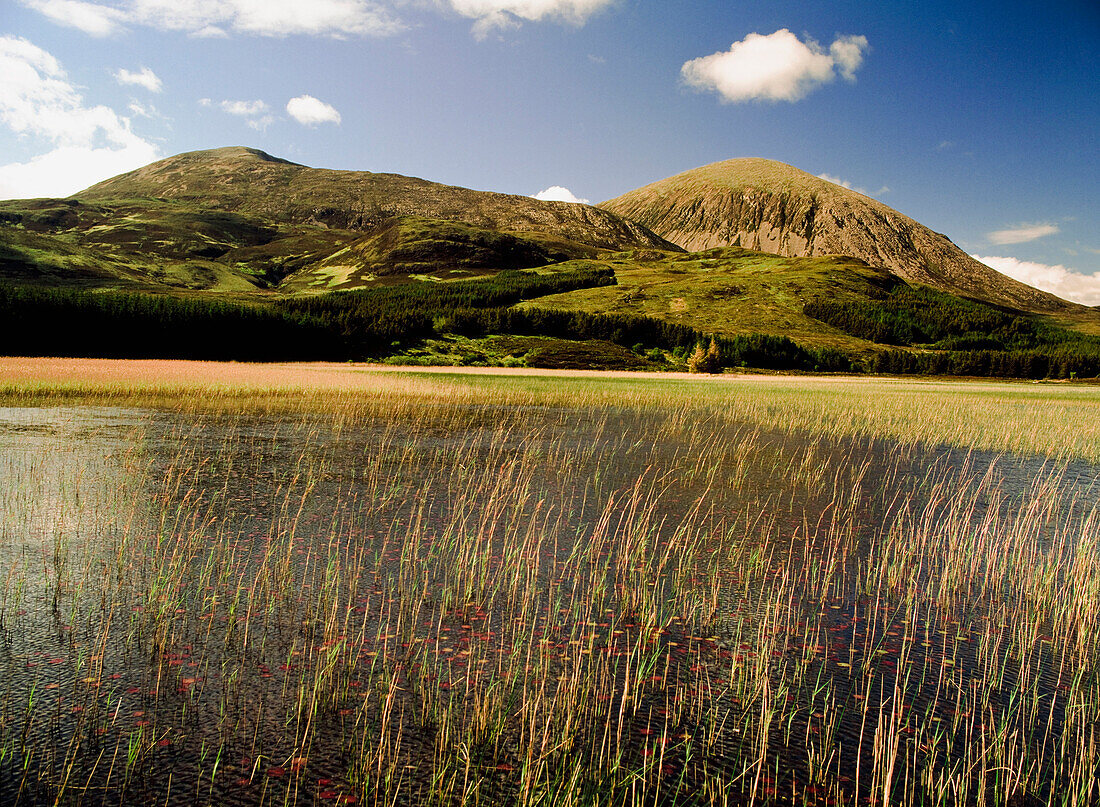 Wetlands with hills in background, Isle of Skye, Highlands, Scotland