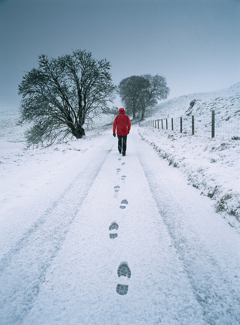 Man walking on rural road in fresh snow, rear view, Glendevon, Perth and Kinross, Scotland, England