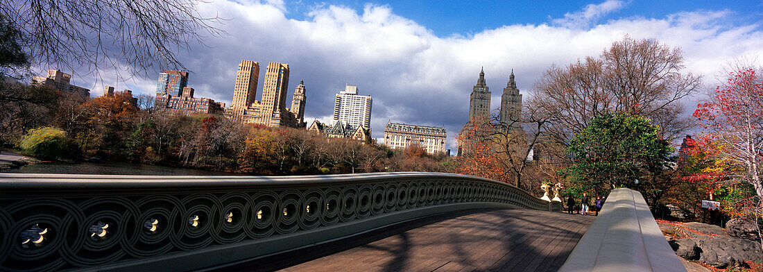 Bridge in Central Park in Manhattan, New YorkCity, USA