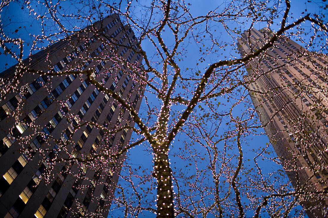 The Rockefeller Centre at night with the Chrismas lights on tree, New York City, New York State, USA