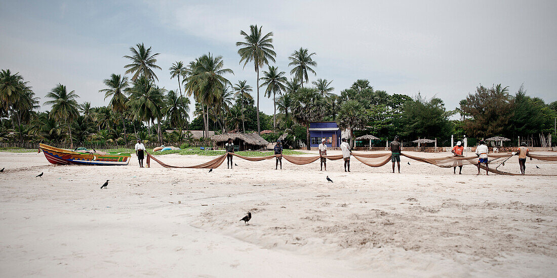 Gruppe Fischer legt Netz am Strand zusammen, Uppuvelli, tamilische Provinz, Sri Lanka