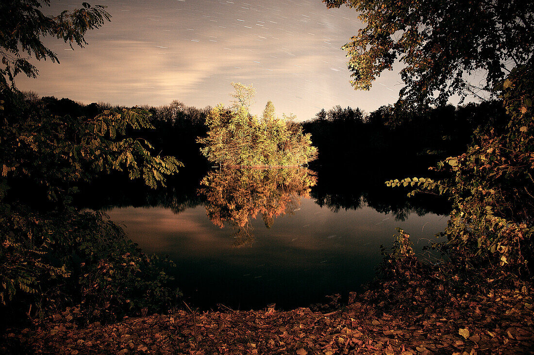 Lichtmalerei Waldsee, Bewegung der Sterne bei Nacht, Leipheim bei Günzburg, Bayern, Deutschland