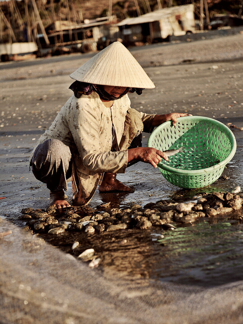 Vietnamesin mit Strohhut sortiert Fisch am Strand, Fischerdorf, Mui Ne, Binh Thuan, Vietnam